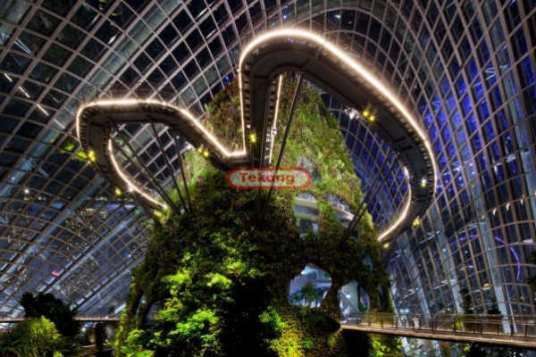 新加坡世界级超级温室花园