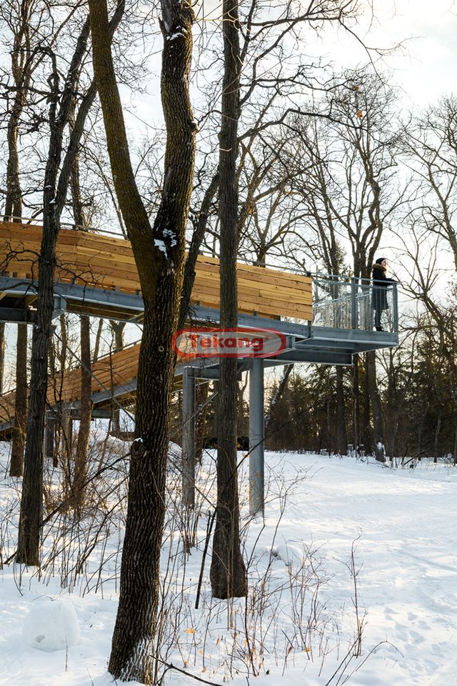树林中的雪橇滑梯(图8)